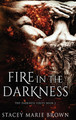 Fire In The Darkness (HC) (2014)
