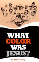 What Color Was Jesus? (PB) (1997)