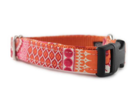 Ishya in Orange Dog Collar