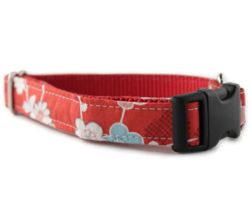 Azalea in Red Dog Collar