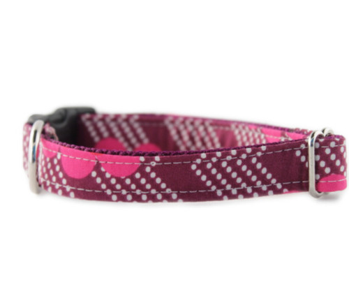Raspberry Splash Dog Collar