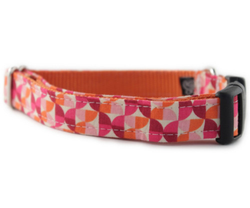 Alyssa in Orange Dog Collar