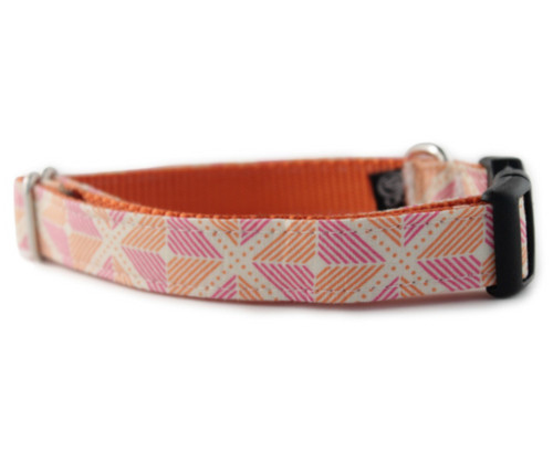 Ainsley in Orange Dog Collar