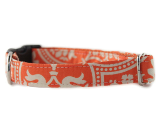 Flynn Dog Collar