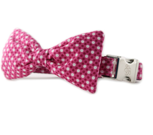 Raspberry Tiny Dot Bow Tie Dog Collar