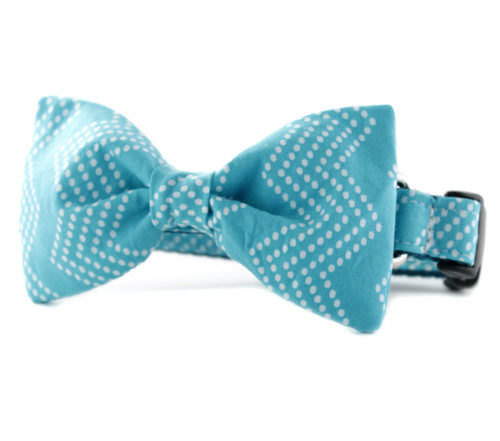 Aqua Splash Chevron Bow Tie Dog Collar