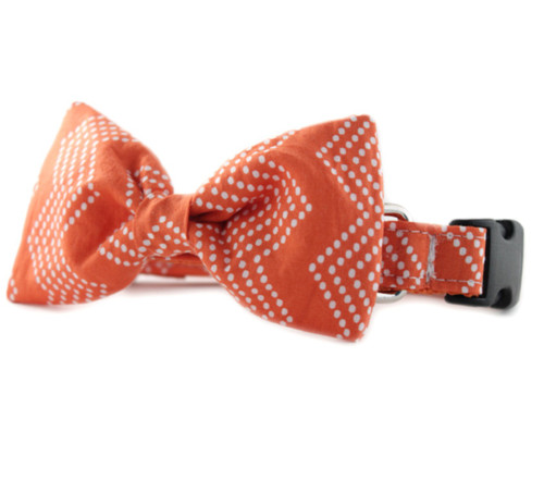 Orange Splash Chevron Bow Tie Dog Collar