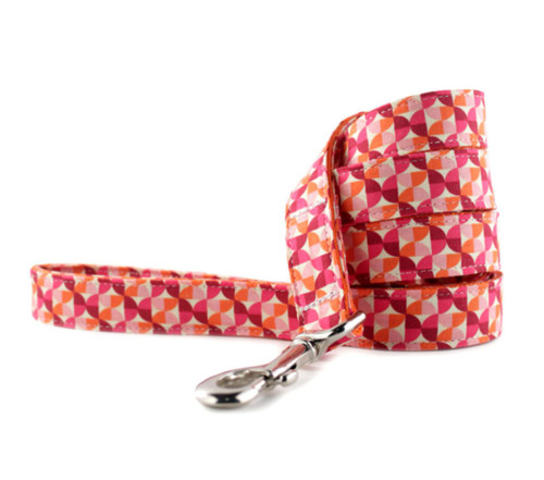 Alyssa In Orange Dog Leash