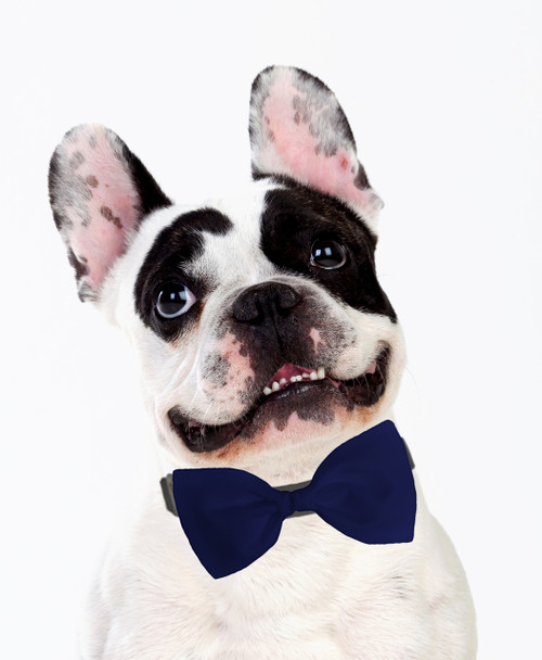 Dog Bow Tie Accessory in Navy Blue