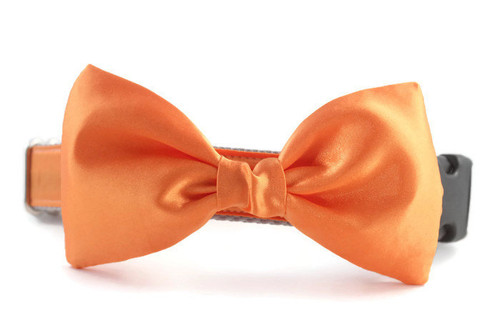 https://img1.etsystatic.com/106/0/5242967/il fullxfull.1007356811 eg4s.jpg