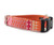 Ishya in Orange Bow Tie Dog Collar