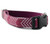 Raspberry Splash Chevron Bow Tie Dog Collar
