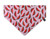 Pink Watermelon Slip-On Dog Bandana