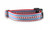 Chicago Flag Red Dog Collar
