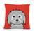 Shaggy Dog on Red Pillow