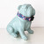 Aurora Dog Collar