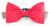 Dog Bow Tie Accessory in Red