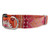 Ishya in Orange Dog Collar