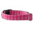 Pink Waves Dog Collar