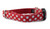 Crimson Dot Dog Collar