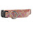 Ainsley in Orange Dog Collar