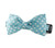 Ice Blue Dot Bow Tie Dog Collar