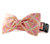 Ainsley in Orange Bow Tie Dog Collar