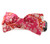 Arden Bow Tie Dog Collar