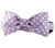 Lilac Dot Bow Tie Dog Collar