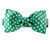 Green and White Dot Bow Tie Dog Collar