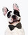 Dog Bow Tie Accessory in Gray