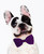 Dog Bow Tie Accessory in Purple