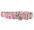 Darcy Dog Collar