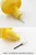 Vacuum Urine Collection Cups for Drug Testing - Twist to remove and discard sharps needle