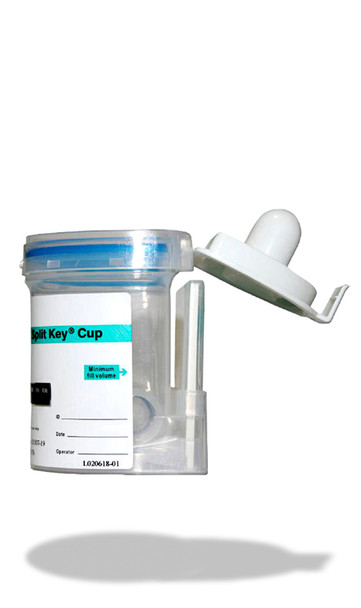 E-Z Integrated Split Key Cup 12 panel