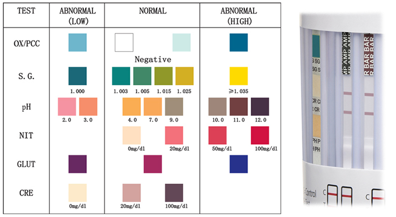 urine-drug-test-adulterations-card-training-identify-diagnostics-mdg.jpg urine-drug-test-adulterations-card-training-identify-diagnostics-mdg.jpg
