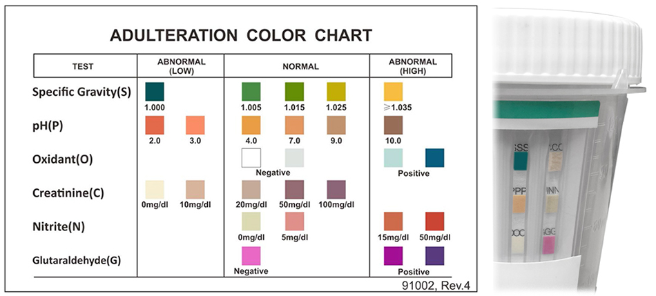 urine-drug-test-adulterations-card-training-identify-health-mdg.jpg