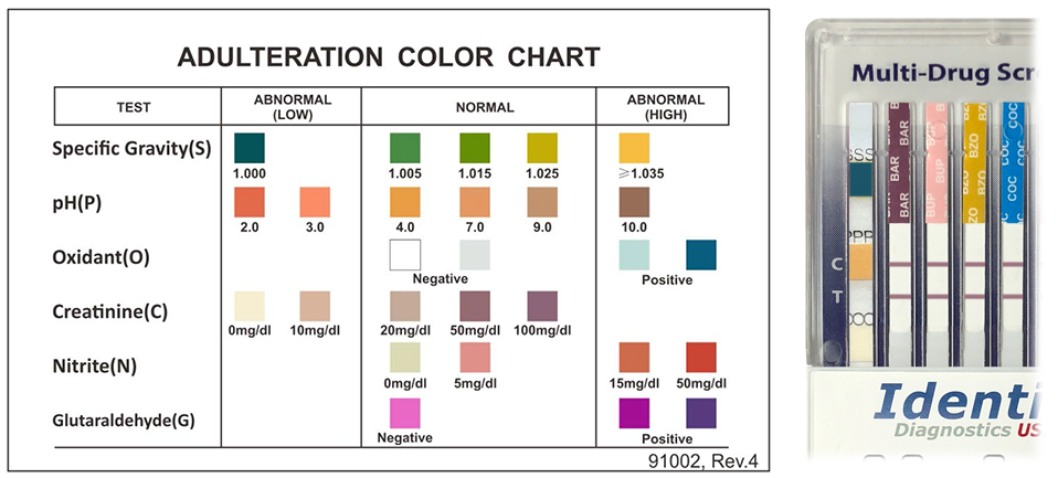 urine-screen-drug-test-dip-adulterations-card-training-identify-diagnostics-usa-mdg.jpg