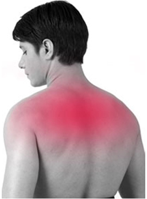 Plug-in Infrared Heat Therapy Neck & Shoulder Wrap