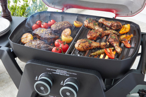 Ziggy By Ziegler & Brown Elite Twin BBQ ZGTGRE