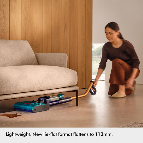 Dyson Clean+Wash Hygiene 63762601