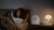 Samsung Music Studio WiFi-Bluetooth Wireless Speaker HWLS51HXY