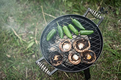 Barebones All-in-One Cast Iron Grill, Dutch Oven for Camping and Outdoor Cooking