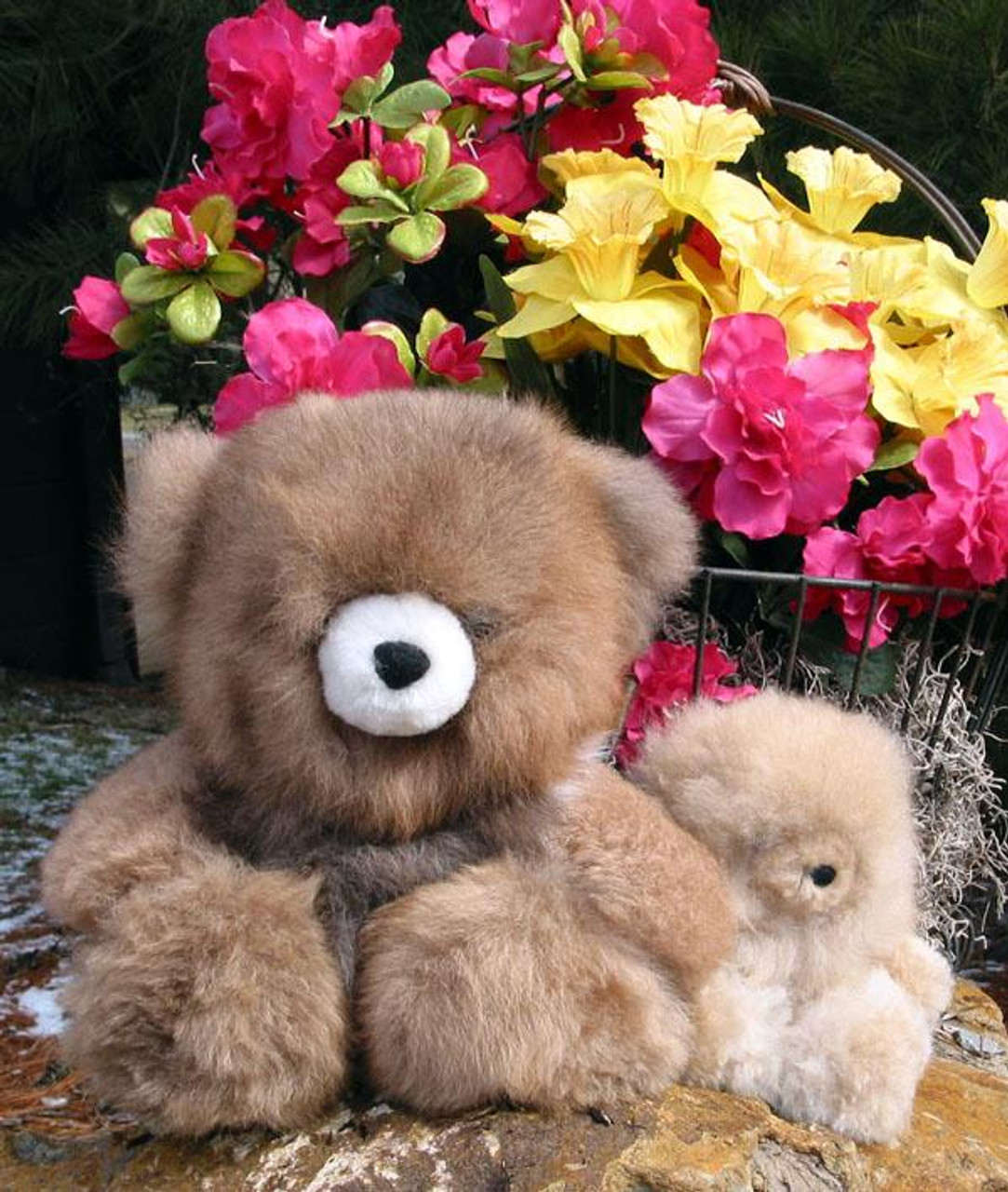 Get Well Soon Little Brown Teddy Bear Pink Flower Flowers Bears