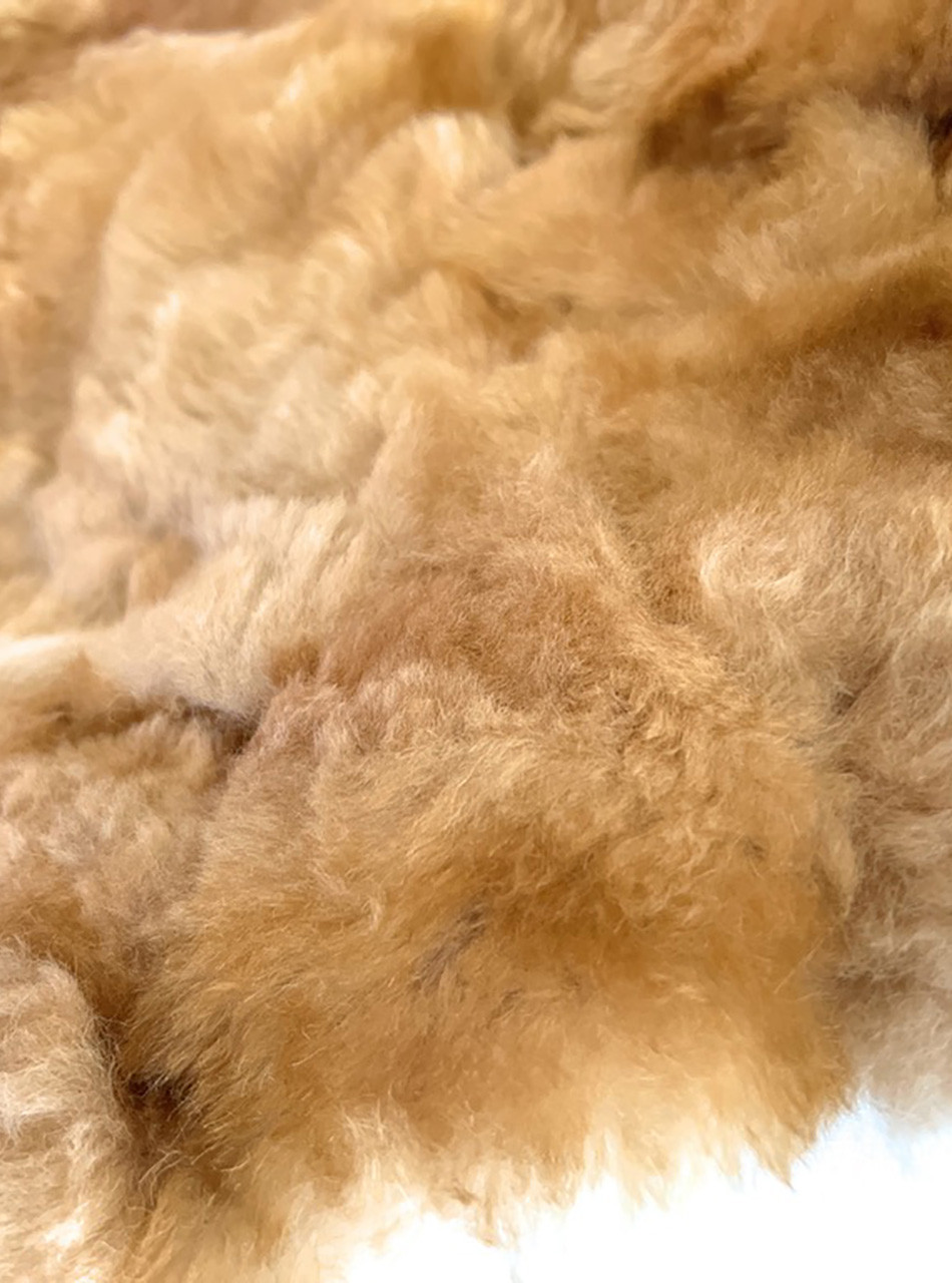 Alpaca Fur Piece - Rug, Cushion & More | Orginalpaca for Sun