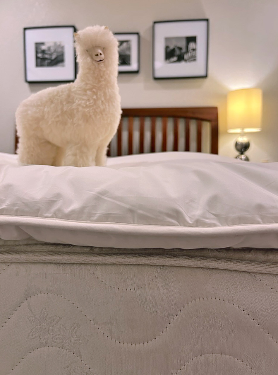 Alpaca Wool Mattress Topper - Thickness 1.5-2 inches