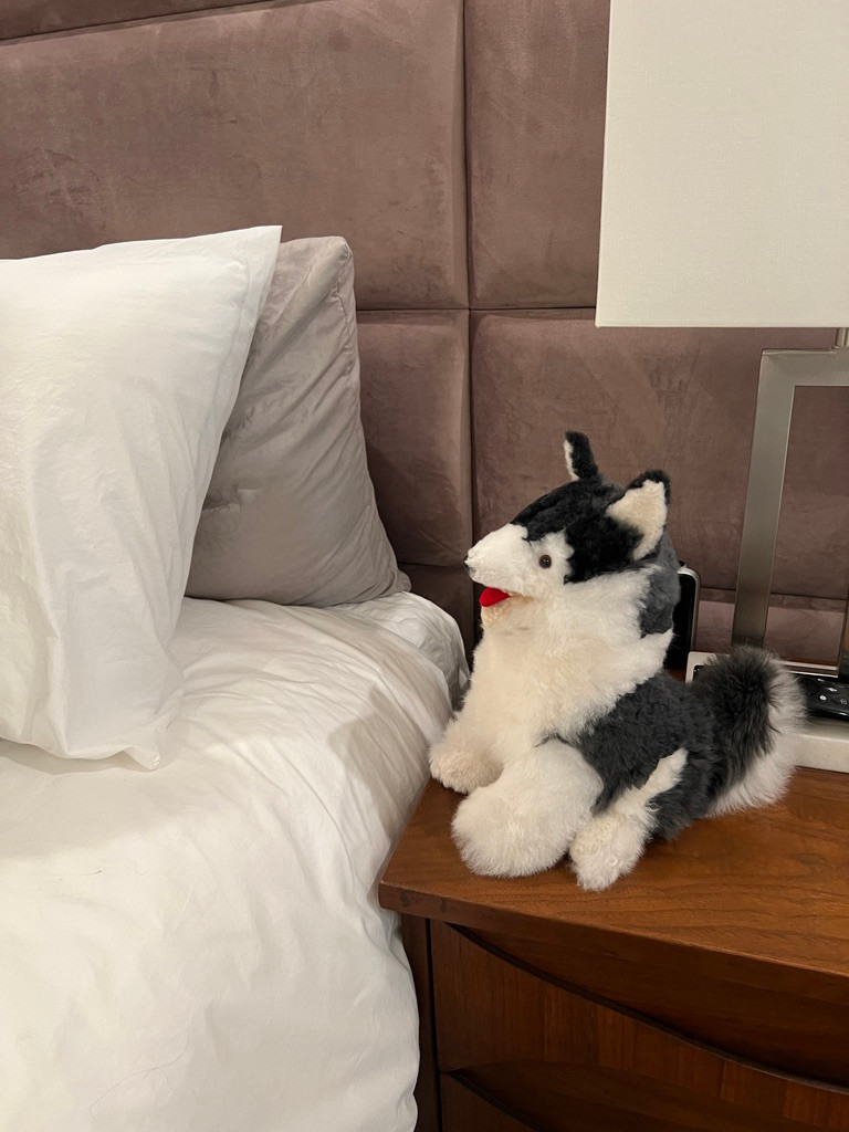 Alpaca fur Husky Dog on bedside table.