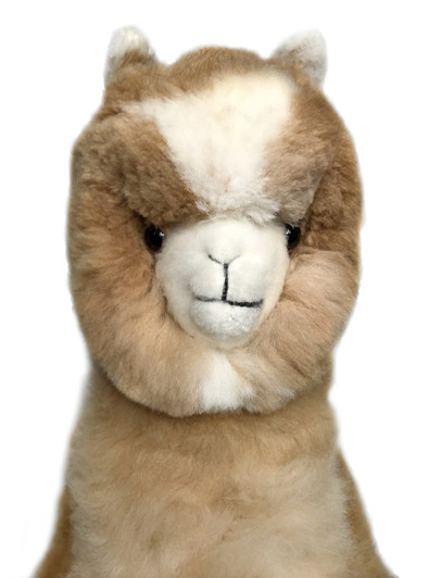 life size alpaca teddy