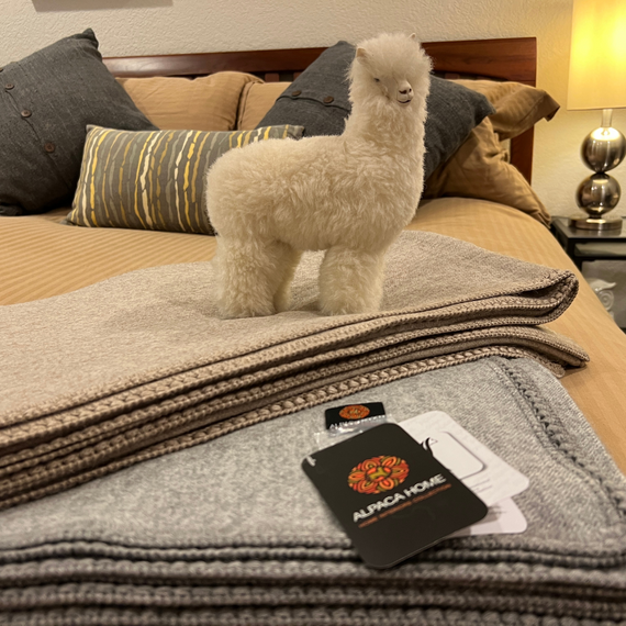 Alpaca Blankets and Pillows for Your Thanksgiving Gathering