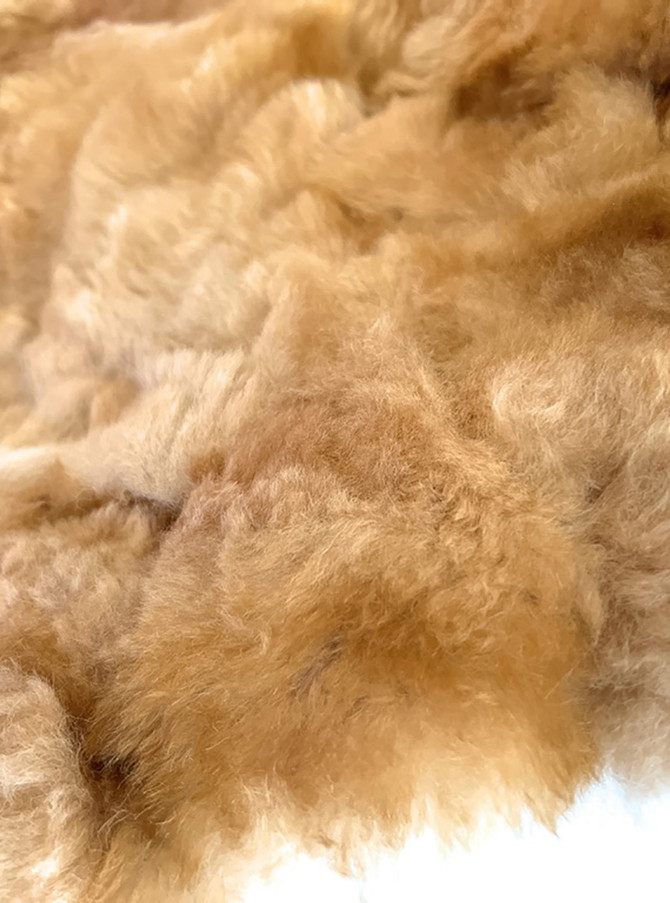 Alpaca Fur piece close up.